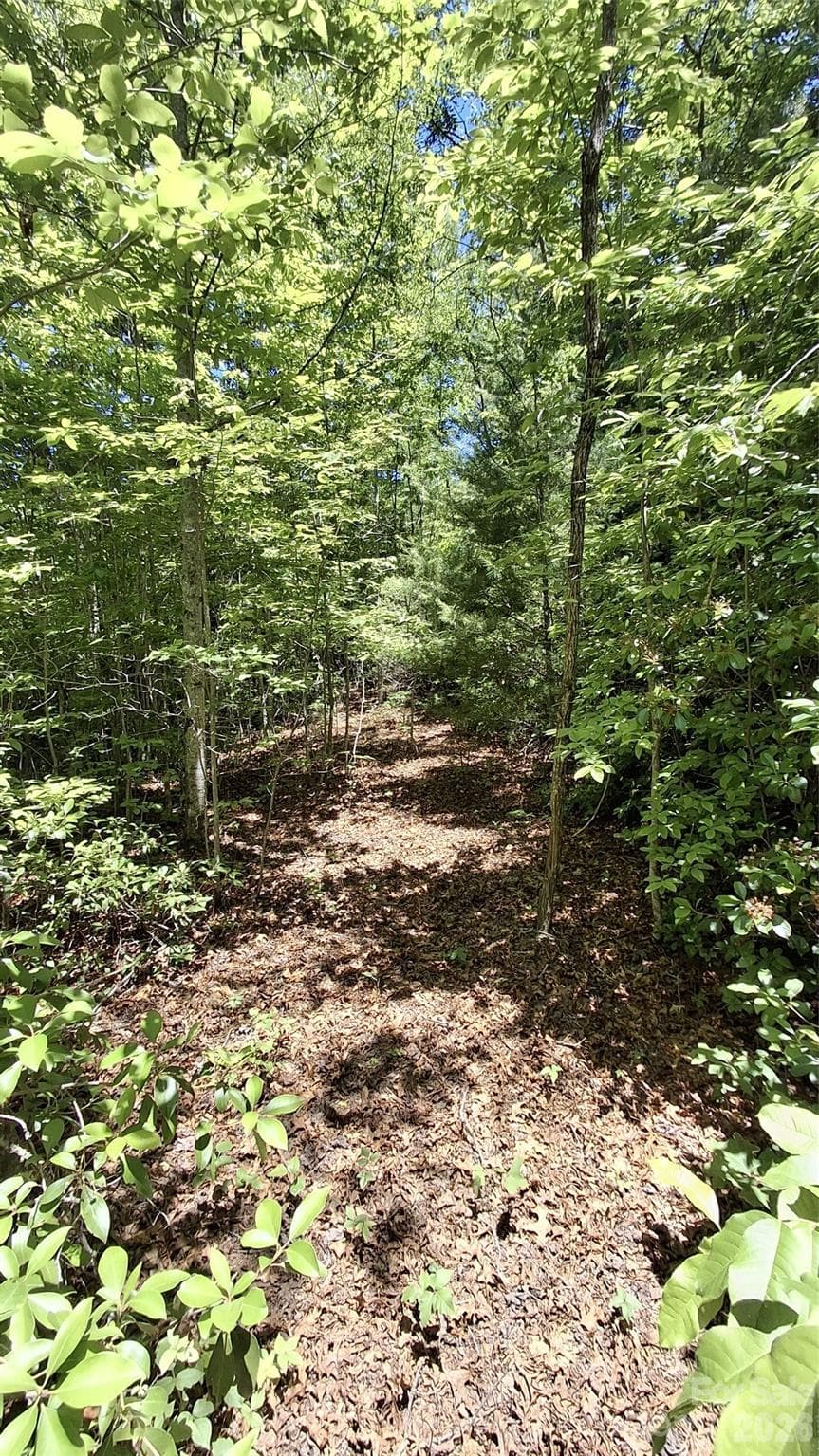 driveway - 272 Kako Ridge, Sylva