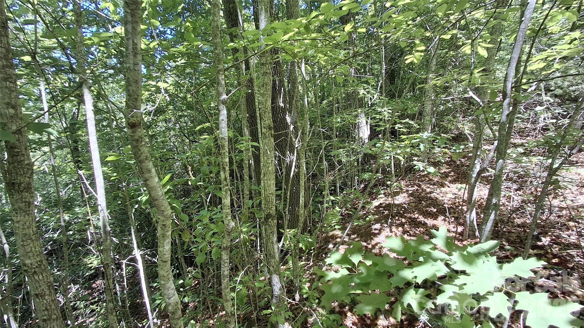 Lot at 272 Kako Ridge, Sylva, photo 12 of 15