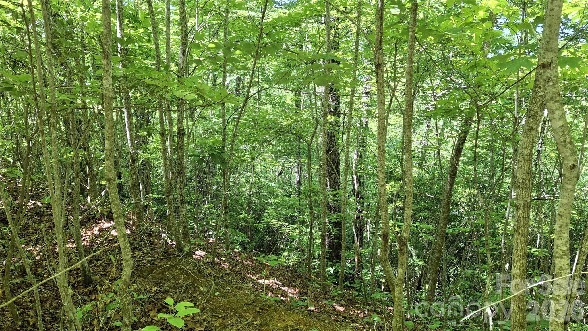 Lot at 272 Kako Ridge, Sylva, photo 13 of 15