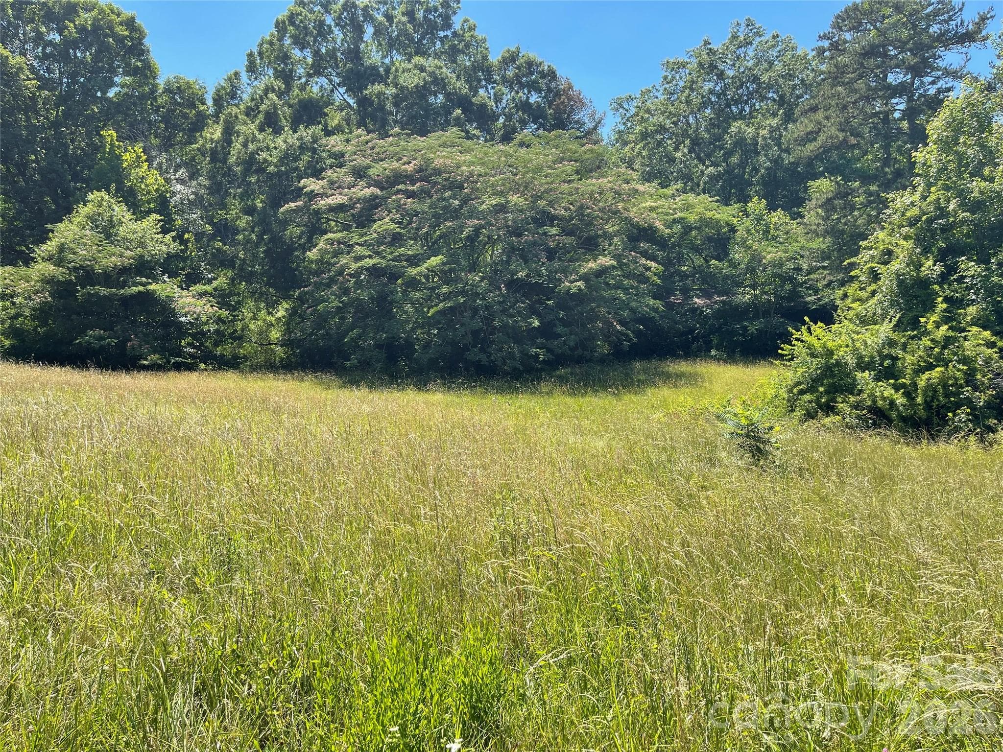 Lot at 1310 WHITE Street, Lexington, photo 2 of 2