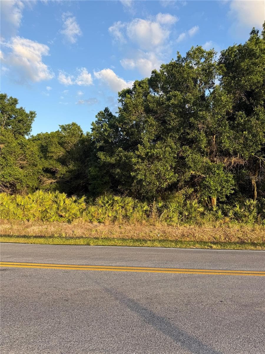 Land at 0 ALTURAS BABSON PARK CUTOFF ROAD, LAKE WALES, photo 2 of 2