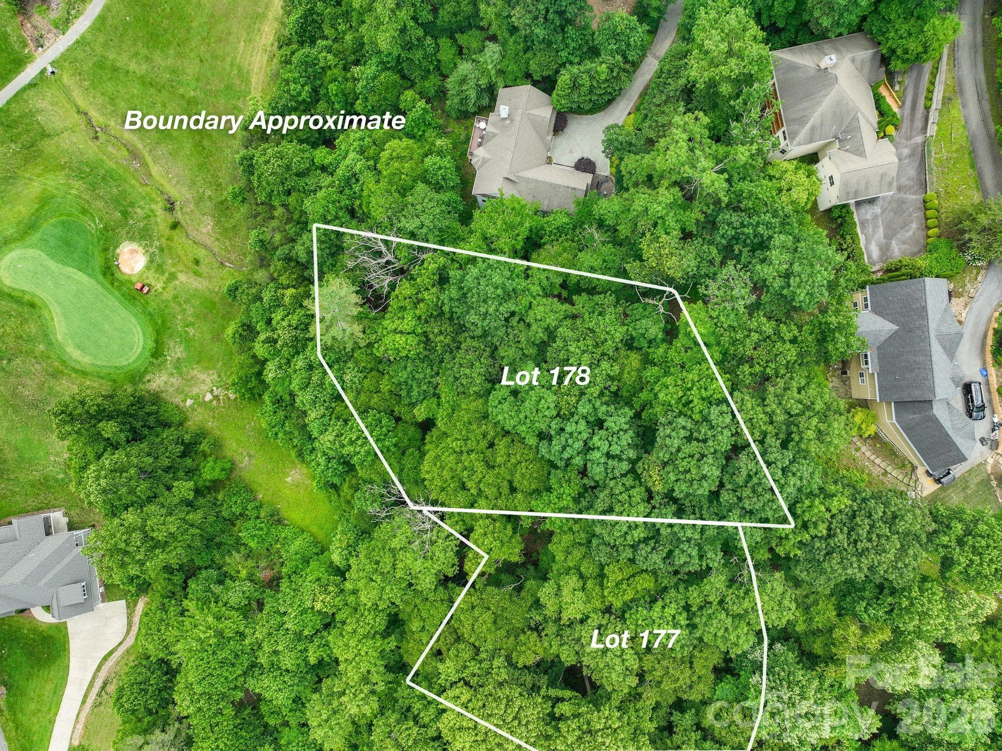 Lot at 9999 Glen Eagles Lane, Mills River, photo 4 of 15