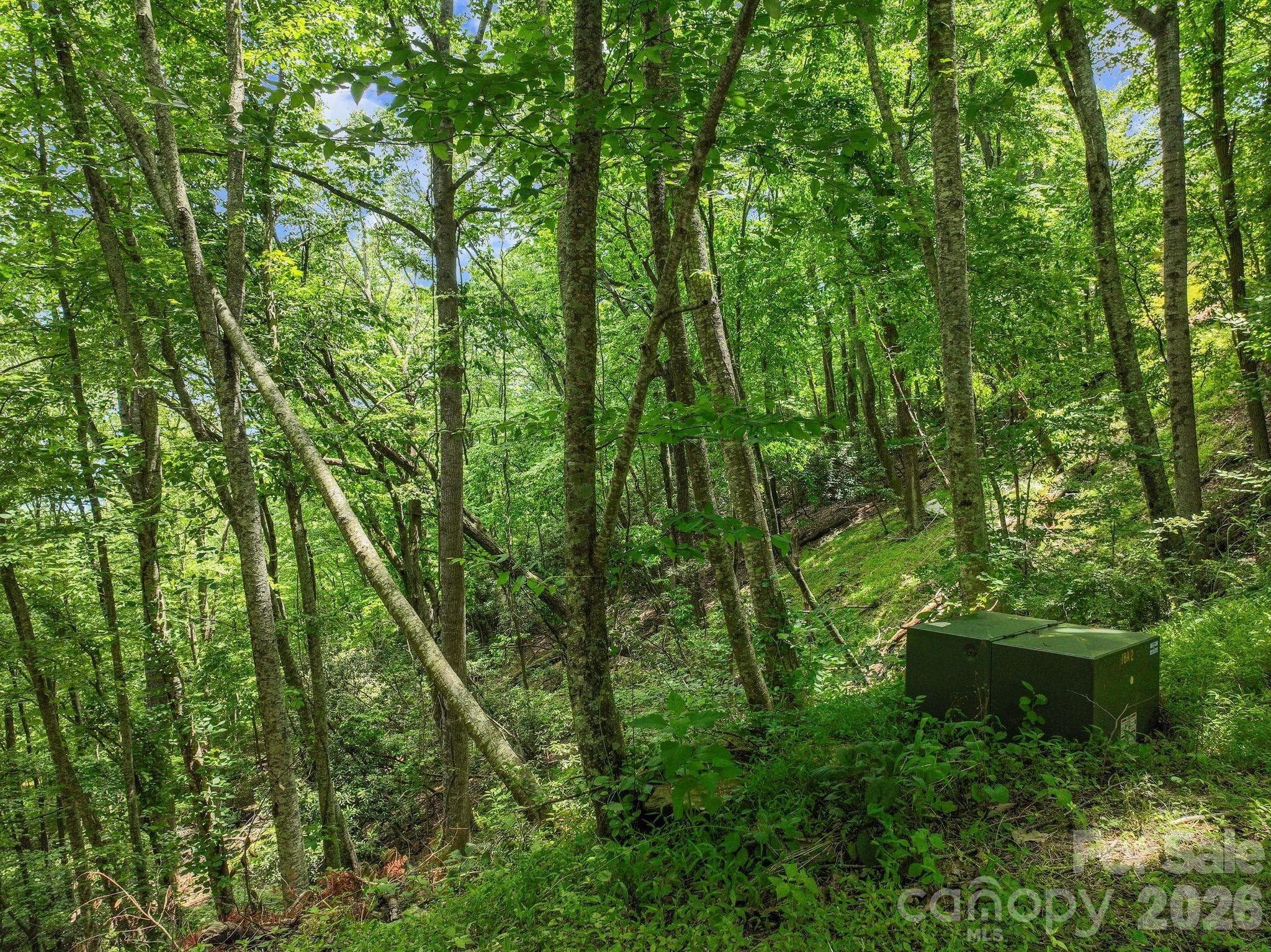 Lot at 9999 Glen Eagles Lane, Mills River, photo 11 of 15