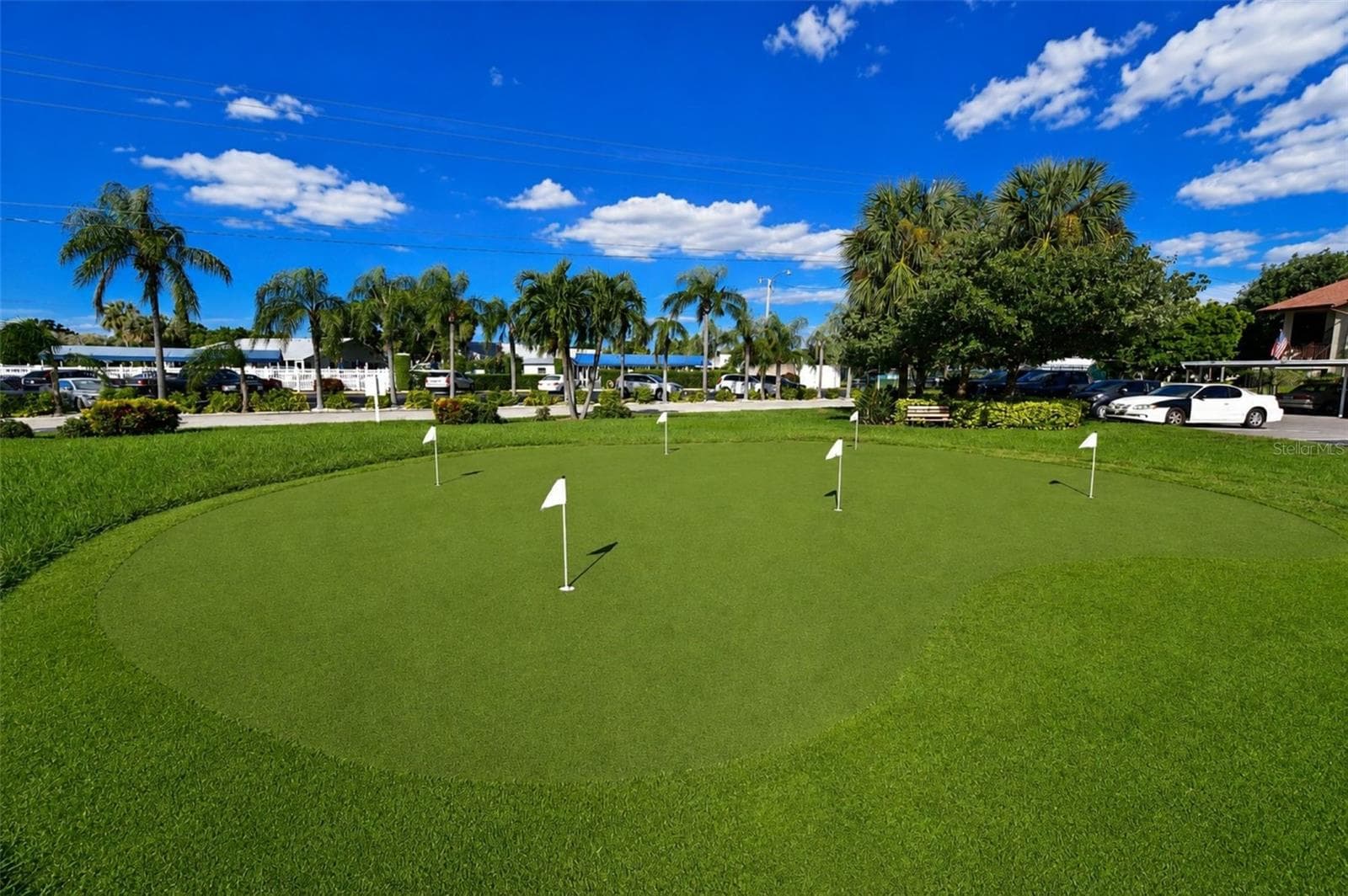 Mt Vernon on Sarasota Bay chipping and putting green - 9425 ANDOVER CIR, BRADENTON