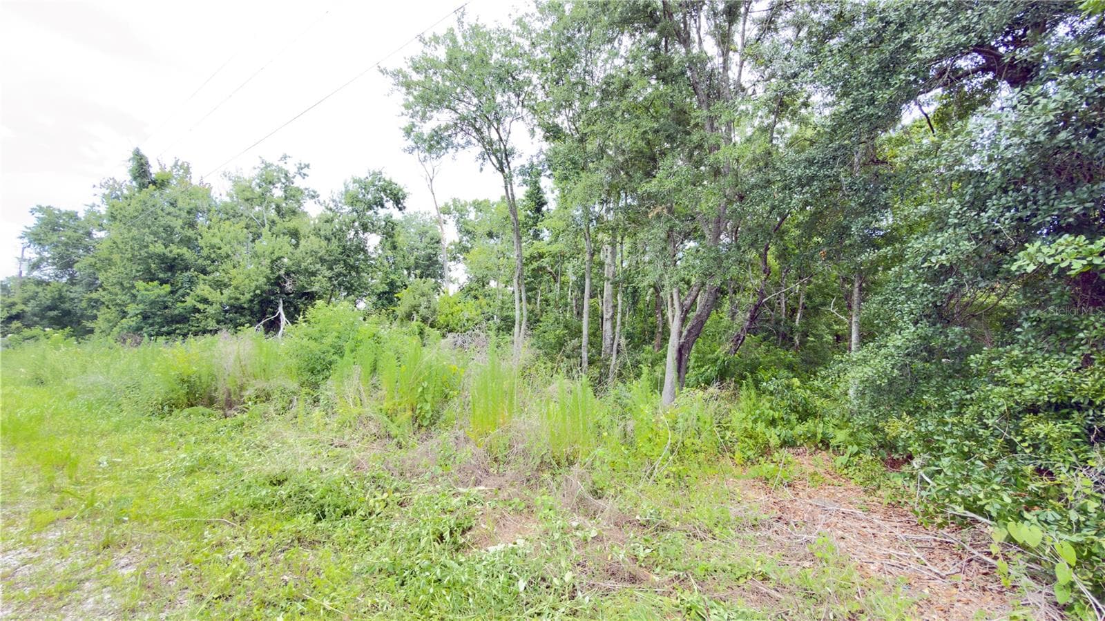 Land at 7402 LAND DR, WESLEY CHAPEL, photo 2 of 6