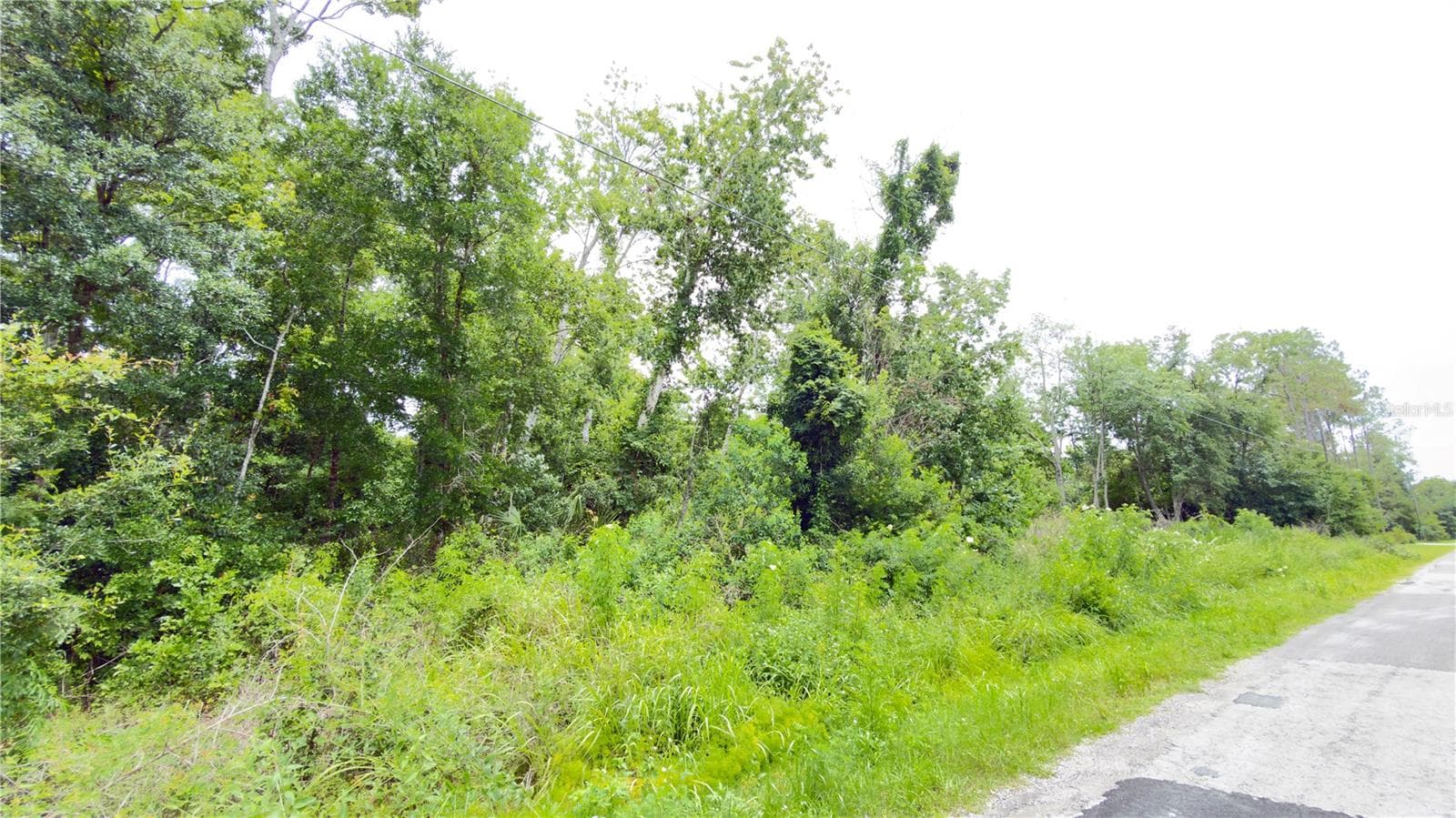 Land at 7402 LAND DR, WESLEY CHAPEL, photo 6 of 6