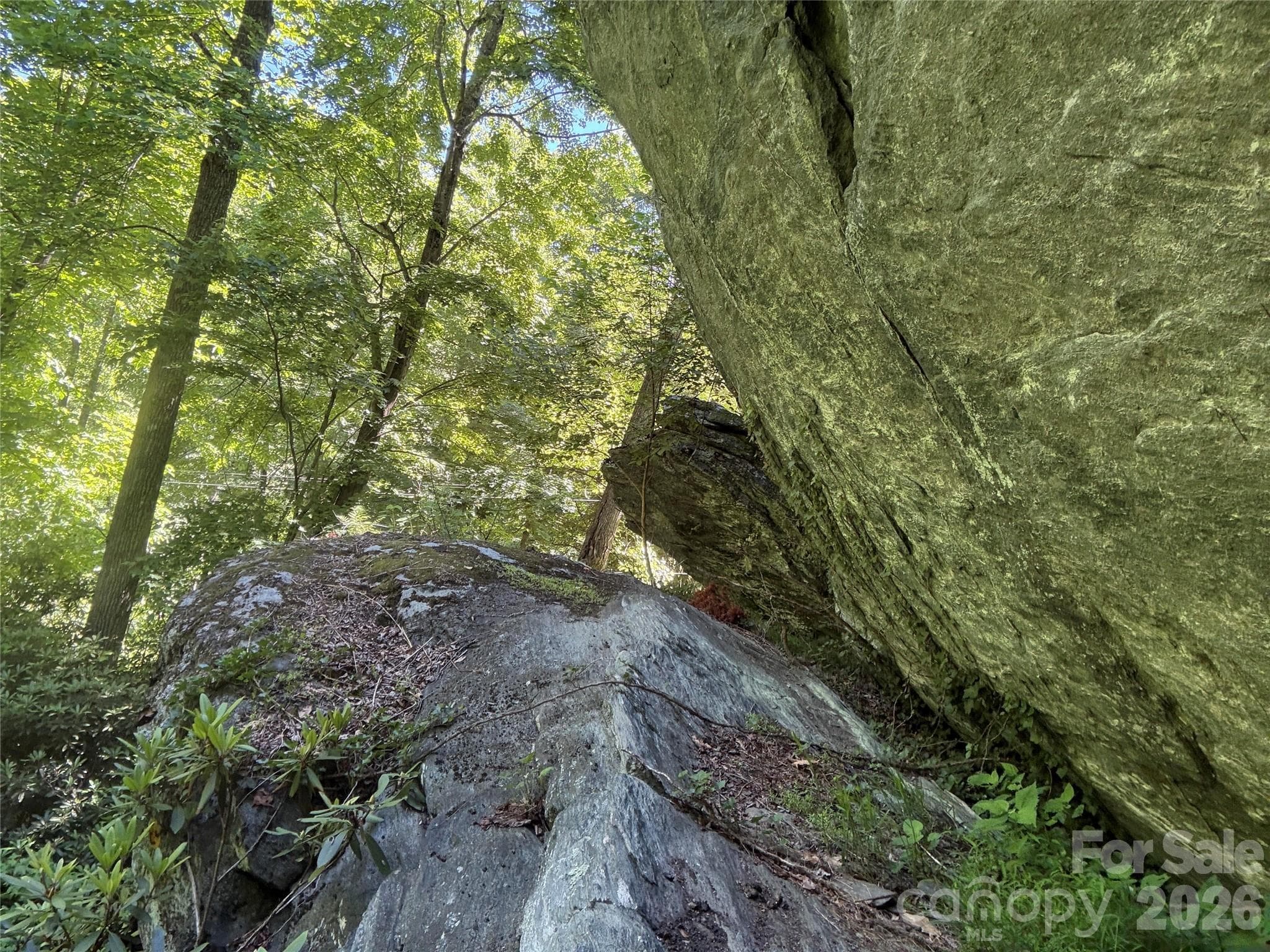 Large rock outcroppings! - 1590 Shulls Mill Road, Boone