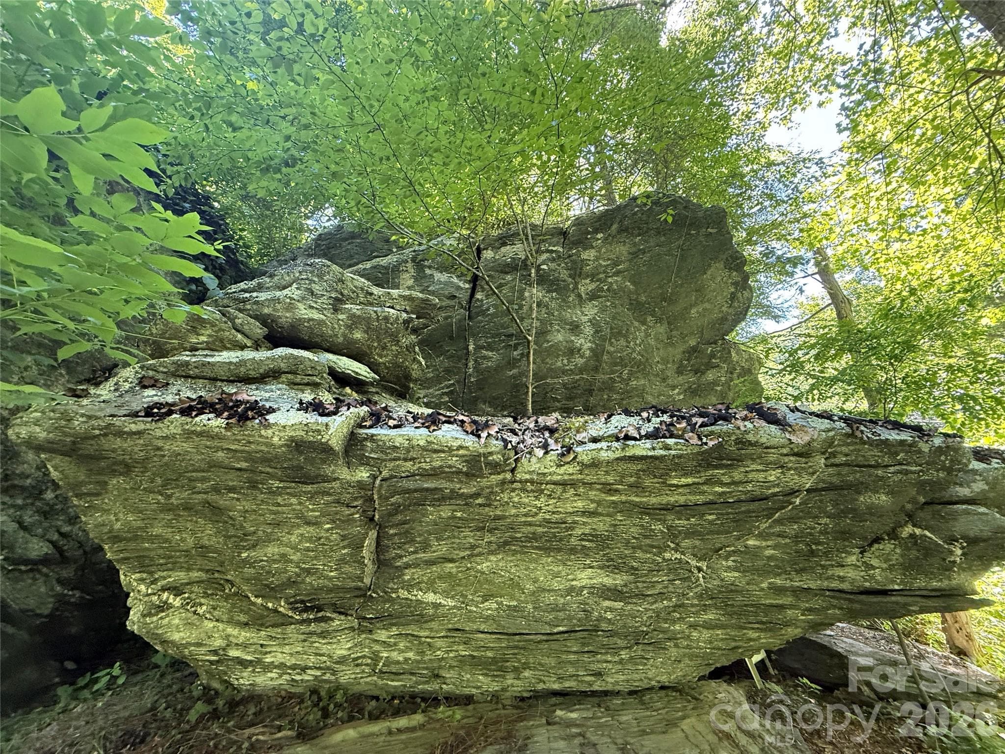 Large rock outcroppings! - 1590 Shulls Mill Road, Boone