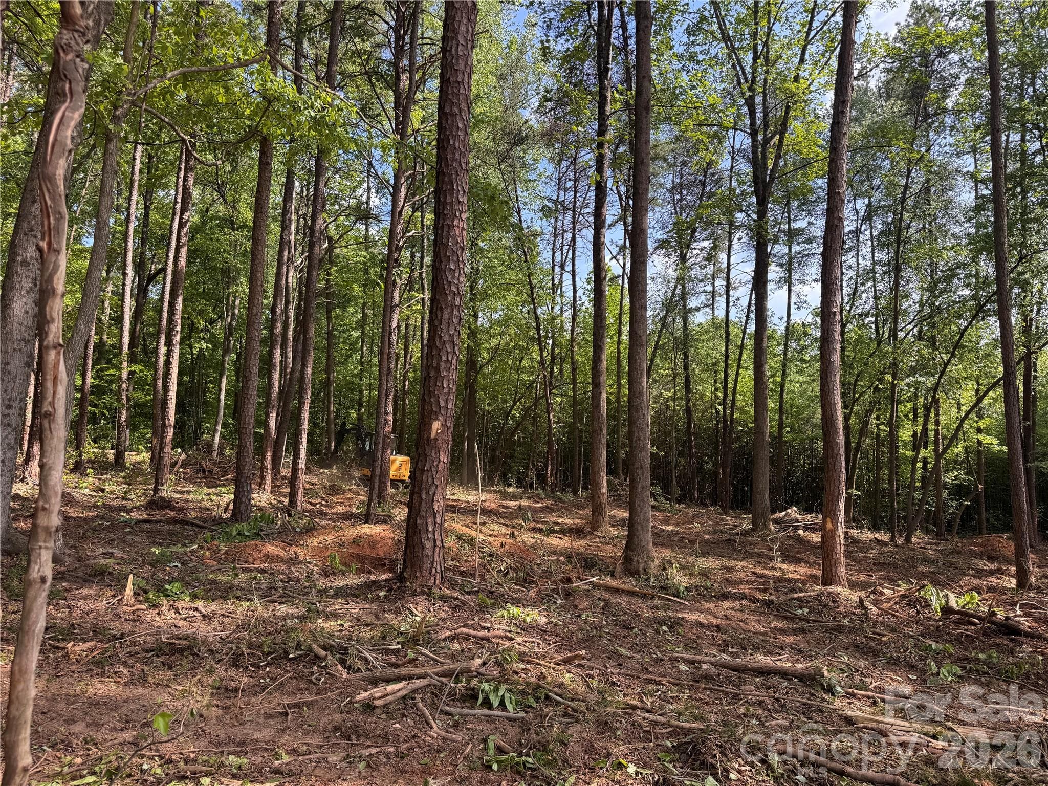 Acreage at Troutman, photo 2 of 2