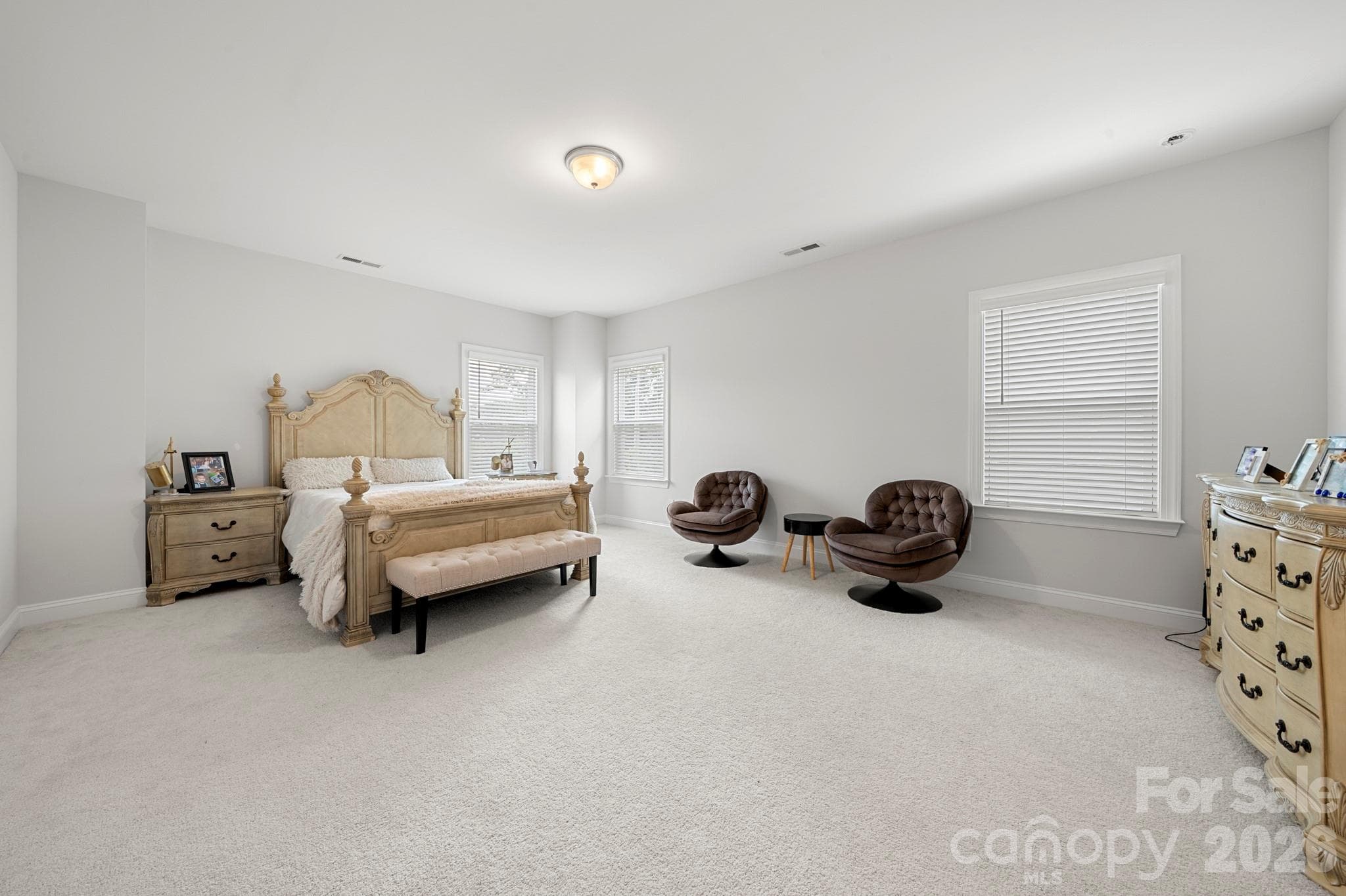 Primary Suite - 5005 Alexander Manor Drive, Charlotte