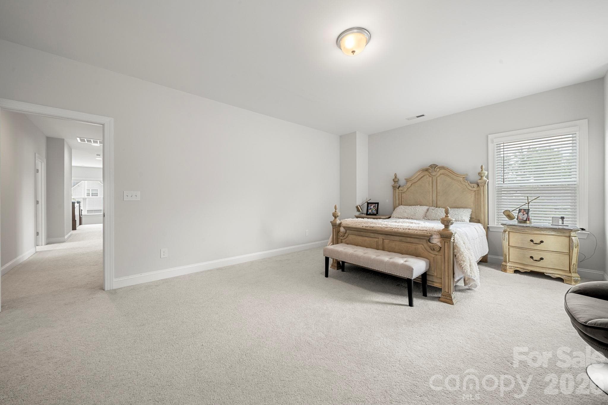 Primary Suite - 5005 Alexander Manor Drive, Charlotte
