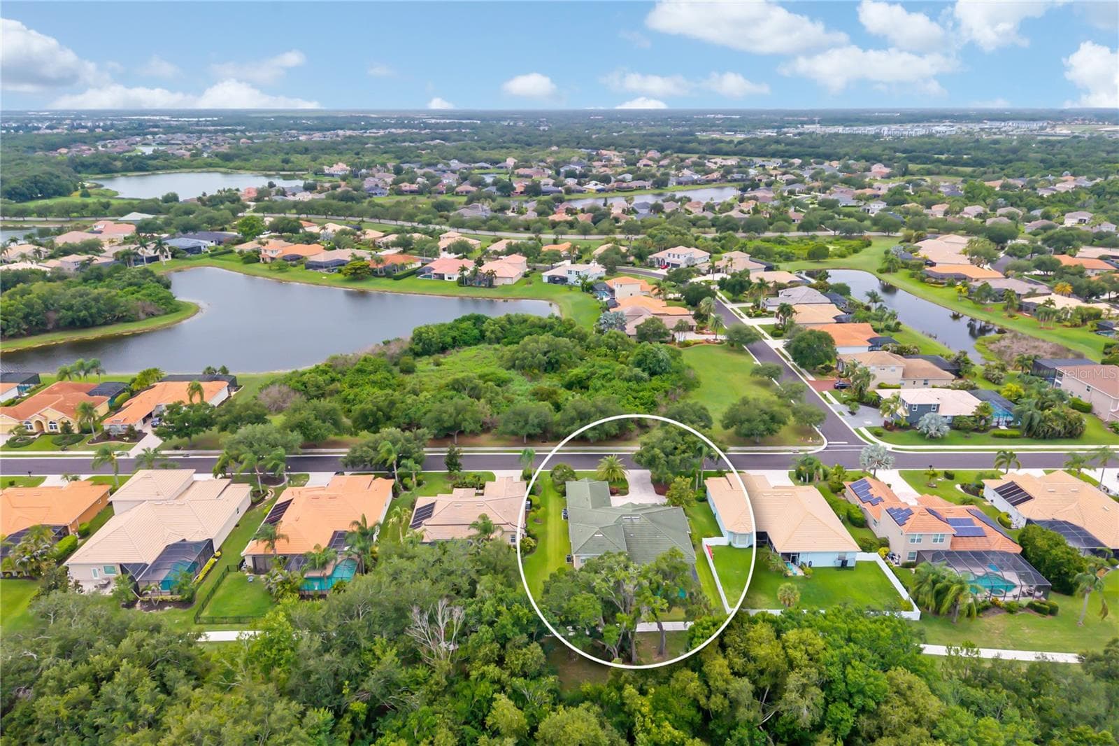 12471 Natureview Circle, Bradenton, FL 34212 is surrounded by lush tropical landscaping and nature preserve in the back of the home and the front of the home is perfect to enjoy all the frequent Florida wildlife, including deer - 12471 NATUREVIEW CIR, BRADENTON