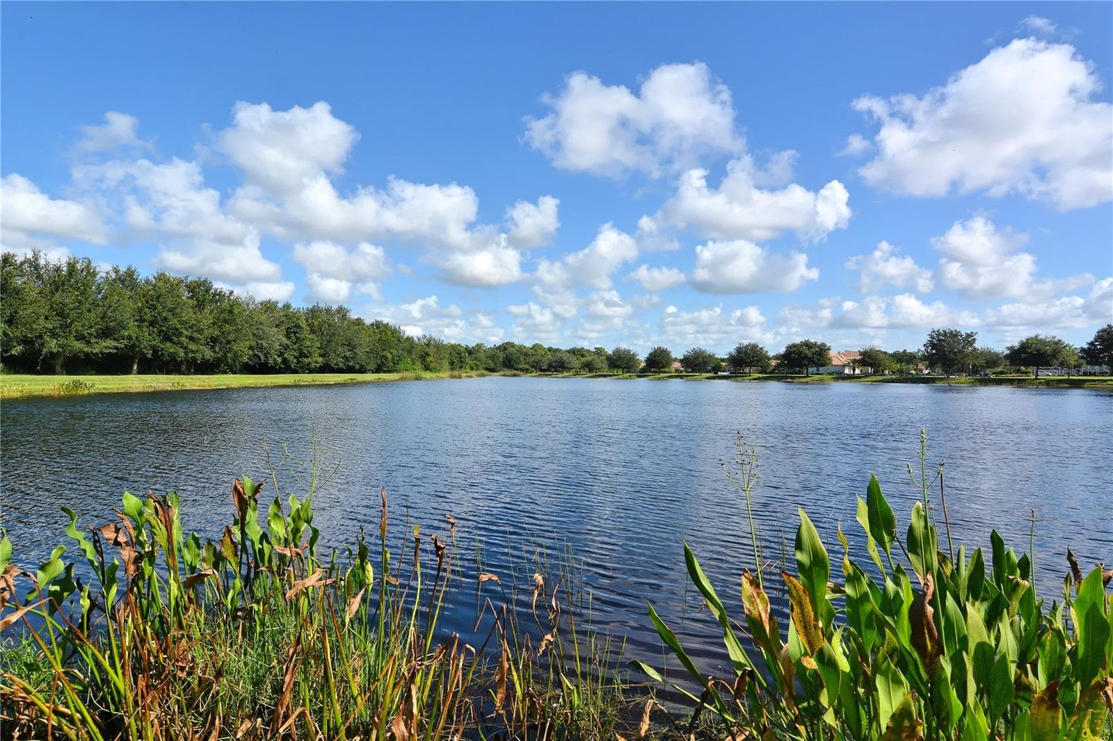 Single Family Residence at 12471 NATUREVIEW CIR, BRADENTON, photo 82 of 84
