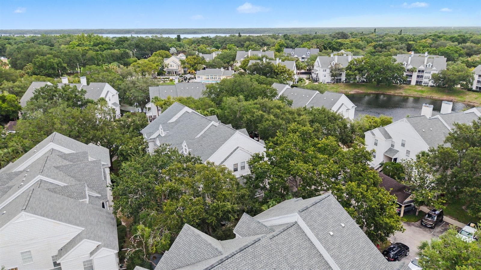 Condominium at 3270 HAVILAND CT #301, PALM HARBOR, photo 43 of 67