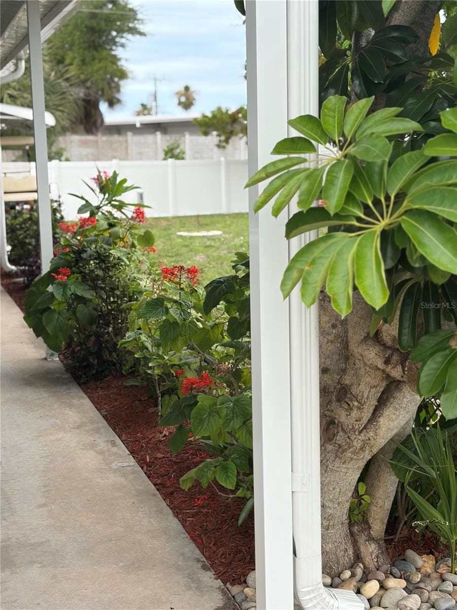 More landscaping - 723 ROMA RD, VENICE