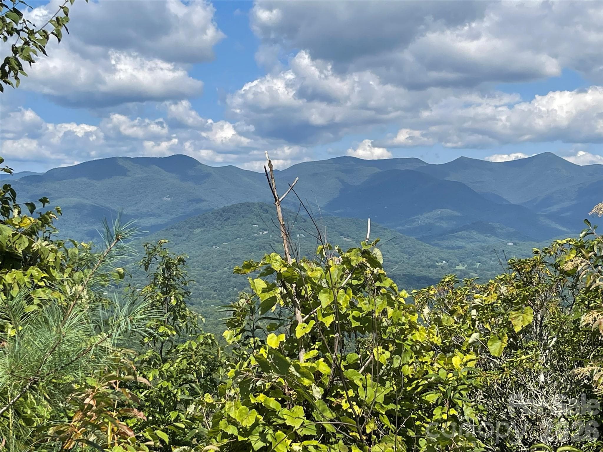 Lot at Black Mountain, photo 3 of 16