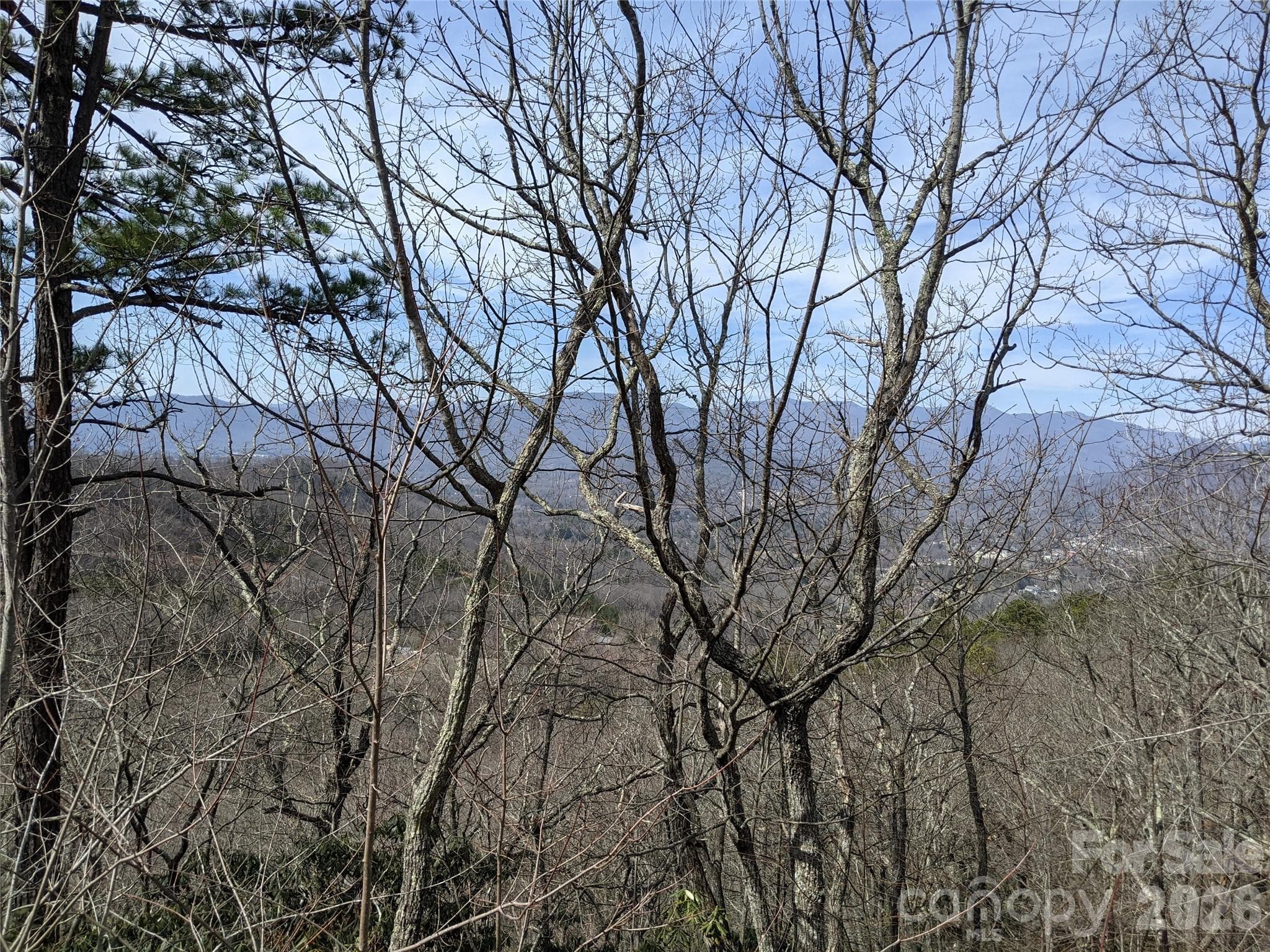 Lot at Black Mountain, photo 4 of 16