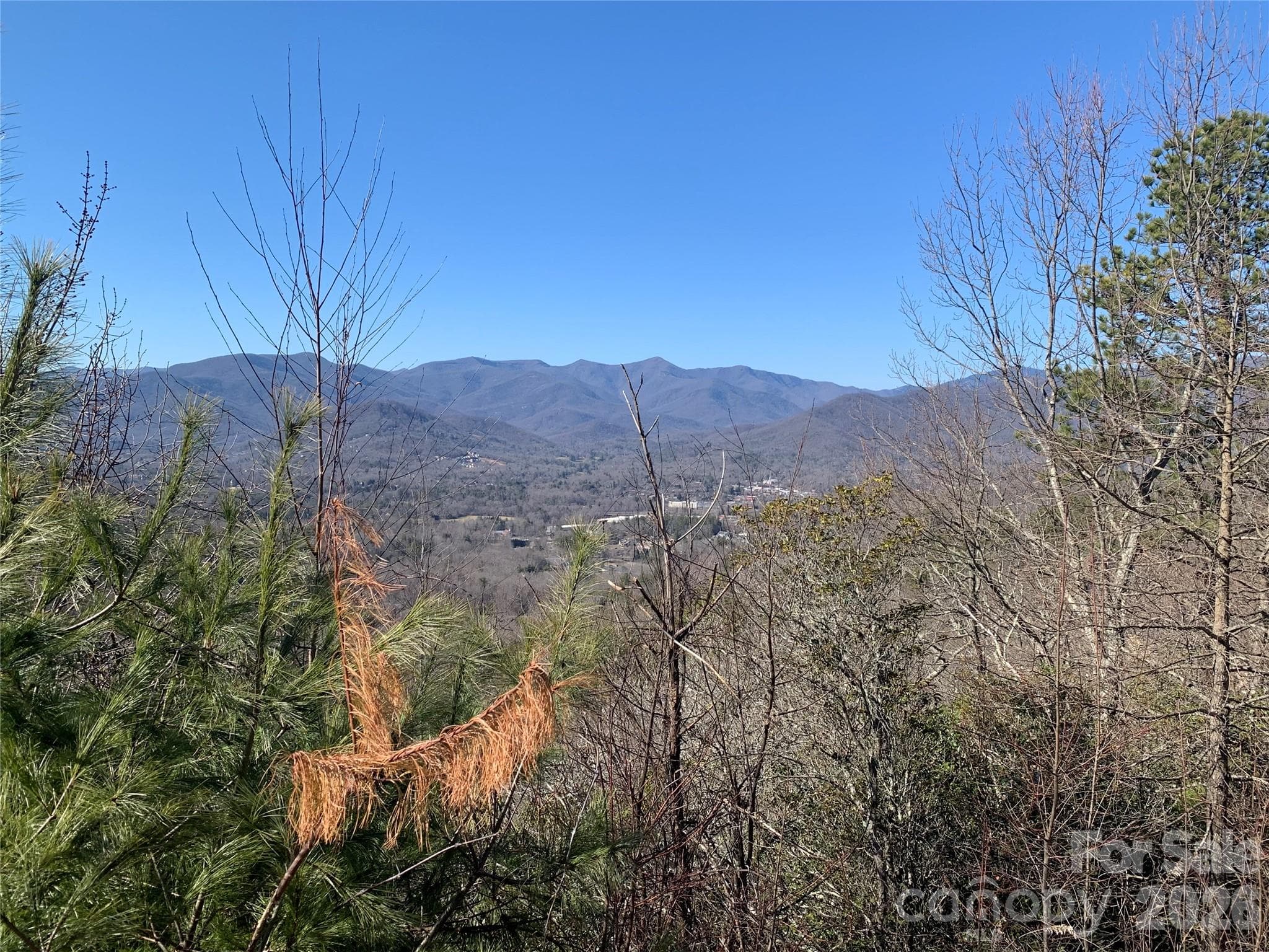 Lot at Black Mountain, photo 7 of 16