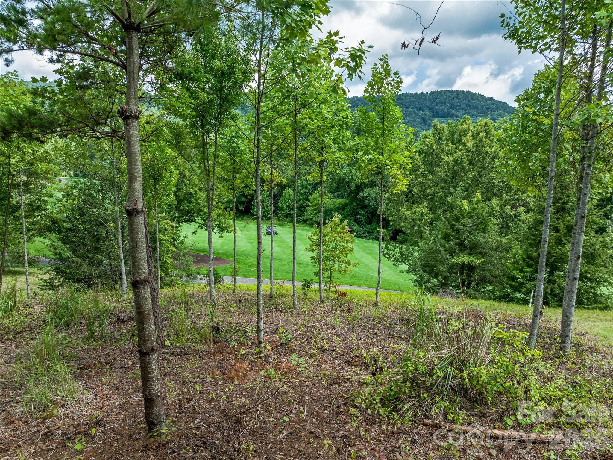 Lot at Arden, photo 3 of 27