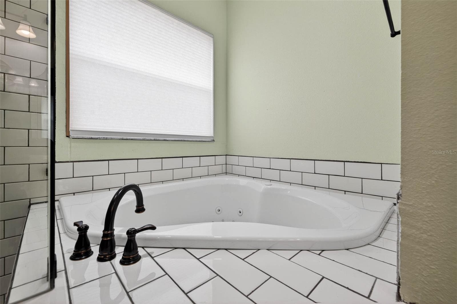 Single Family Residence at 18127 HERON WALK DR, TAMPA, photo 20 of 46