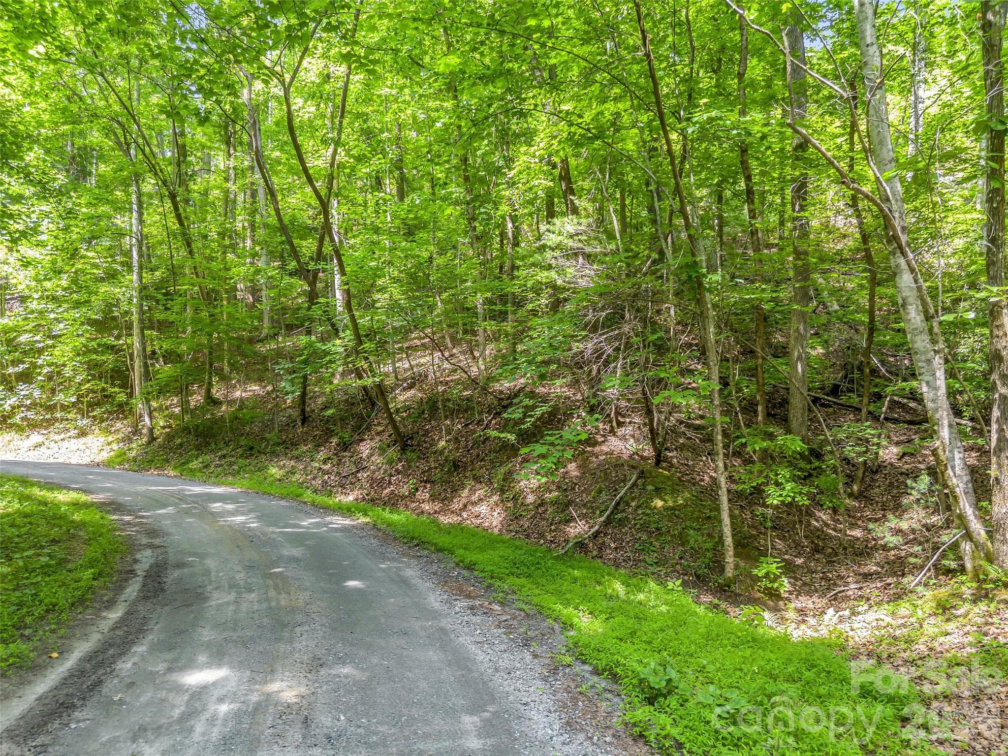 Lot at Lake Lure, photo 3 of 29