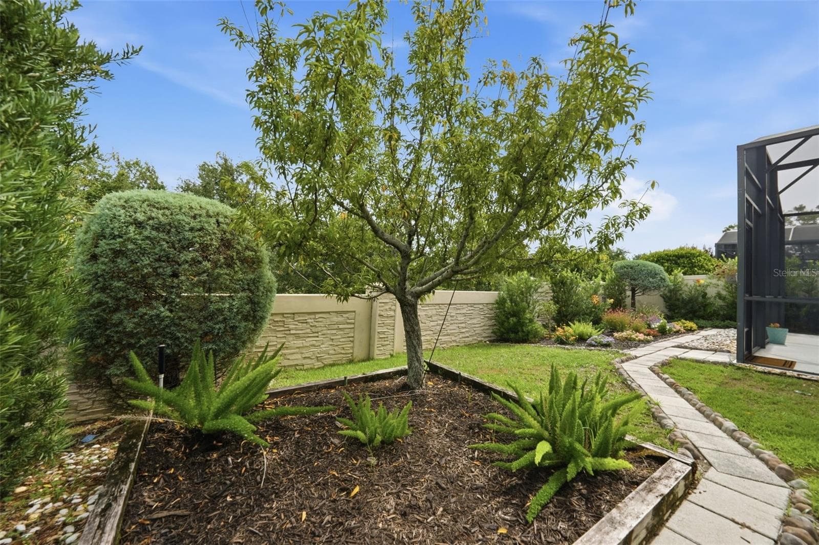Backyard garden beds and Peach tree - 16716 ABBEY HILL CT, CLERMONT