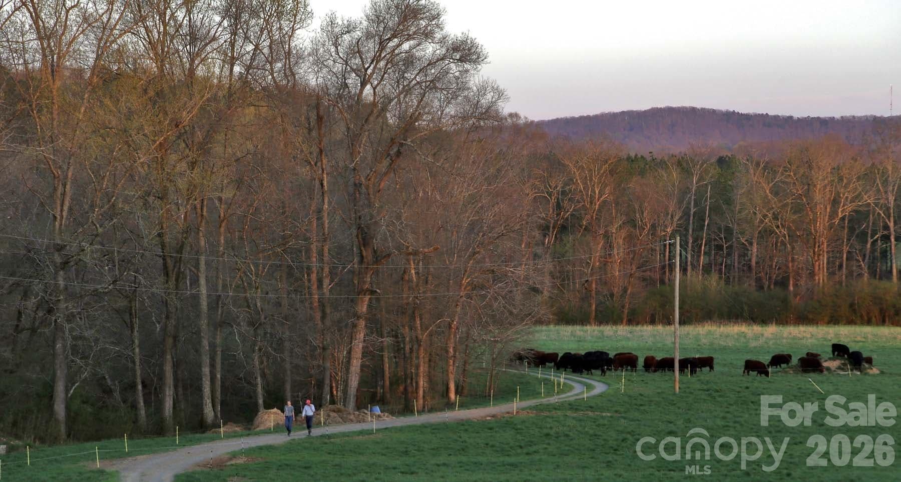 Single Family Residence at 3175 Trotter Road, Asheboro, photo 48 of 48