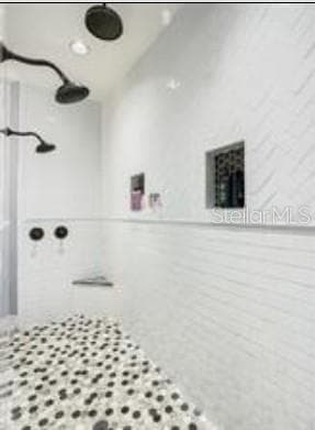 Masterbath Shower - 11634 DAVIS POOL RD, SEFFNER