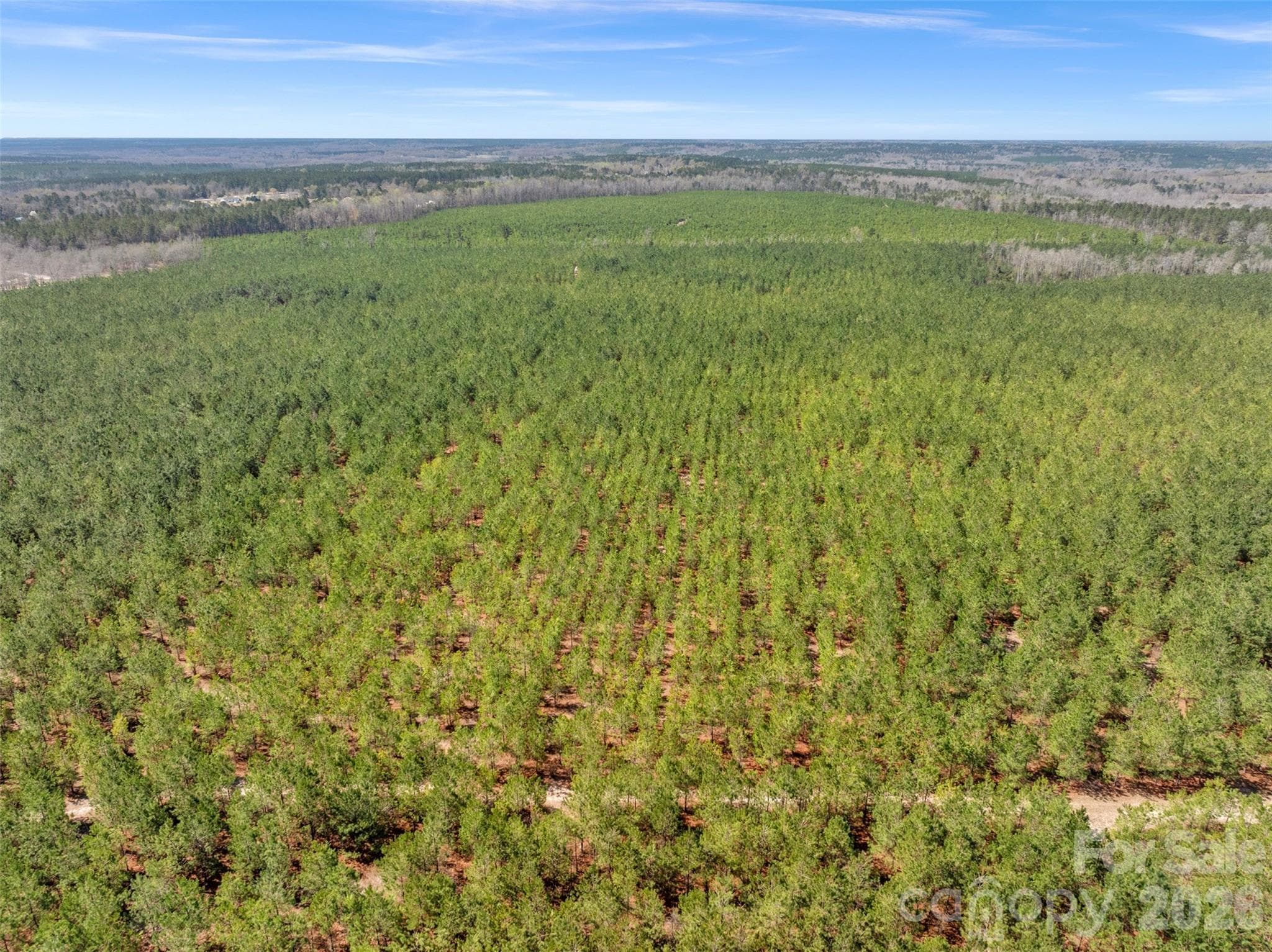 Acreage at 931 Charlie Johnson Road, Kershaw, photo 2 of 35