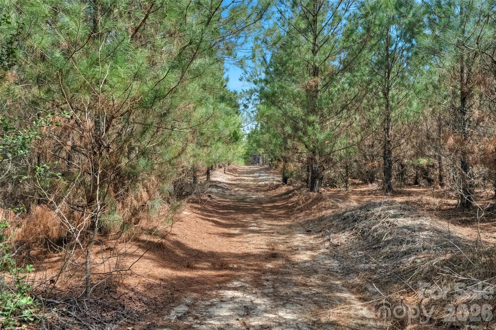 Acreage at 931 Charlie Johnson Road, Kershaw, photo 8 of 35