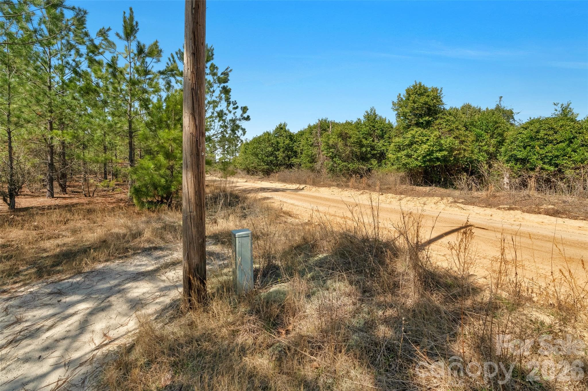 Acreage at 931 Charlie Johnson Road, Kershaw, photo 18 of 35