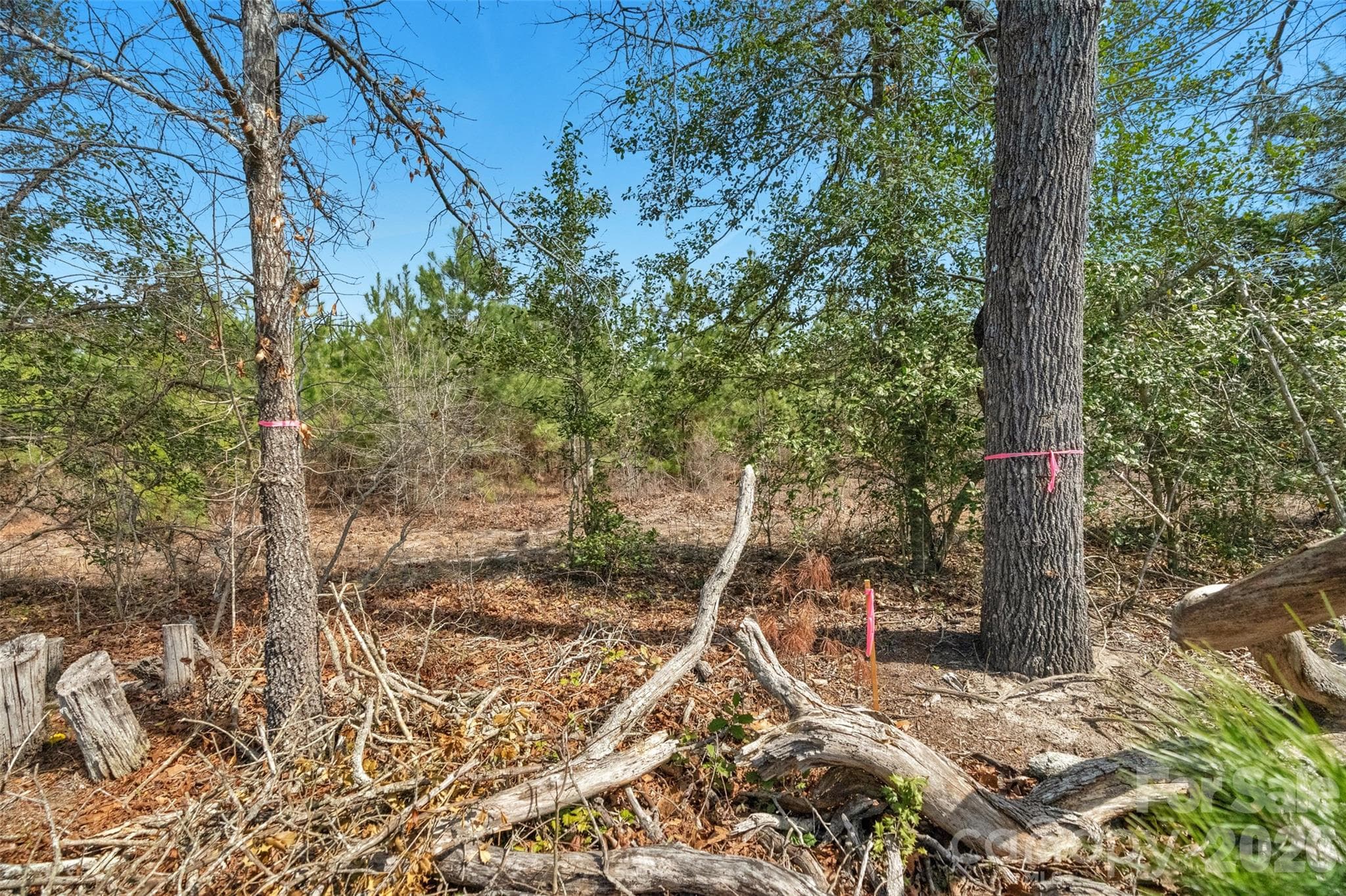 Acreage at 931 Charlie Johnson Road, Kershaw, photo 21 of 35