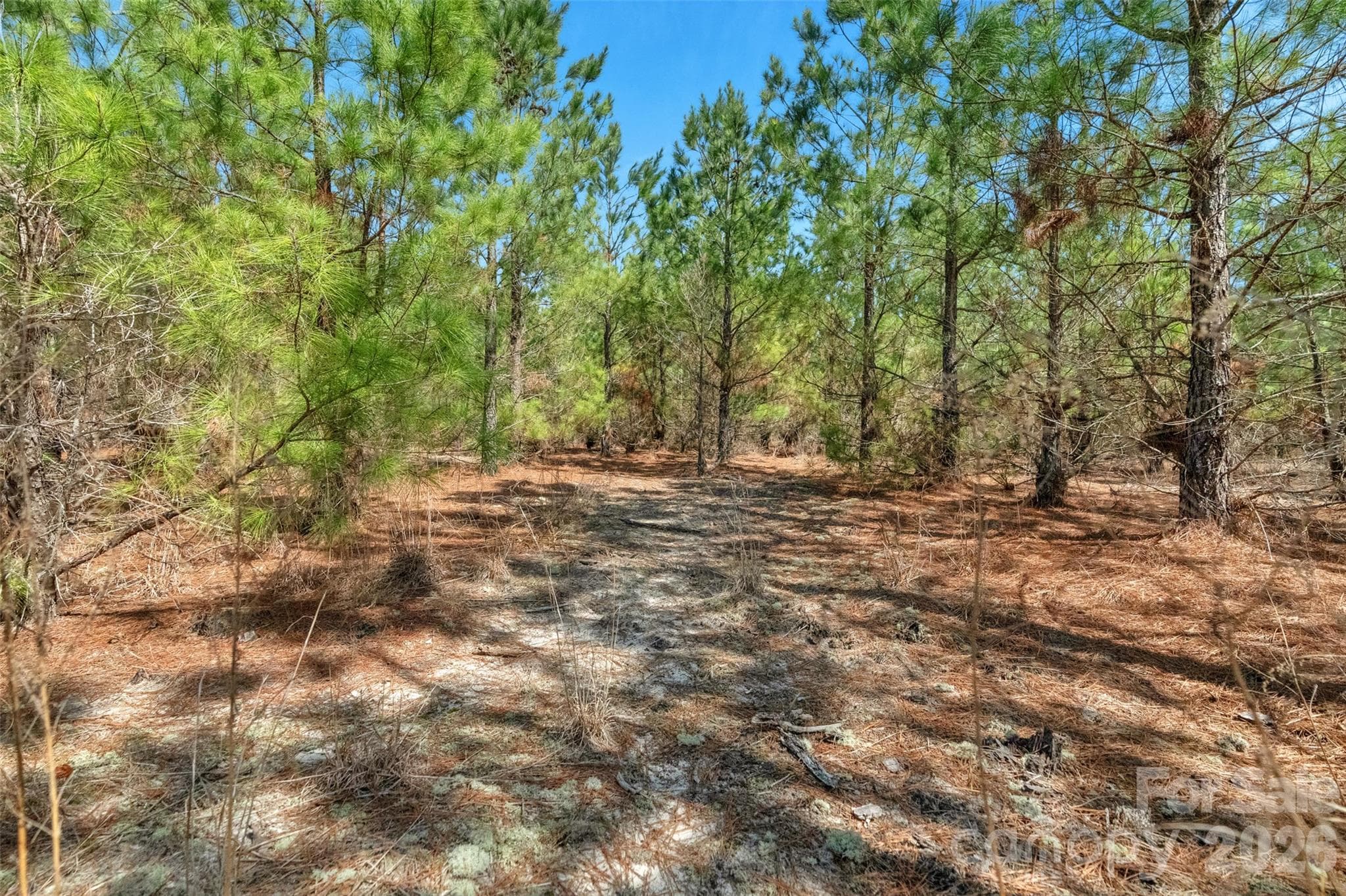 Acreage at 931 Charlie Johnson Road, Kershaw, photo 22 of 35
