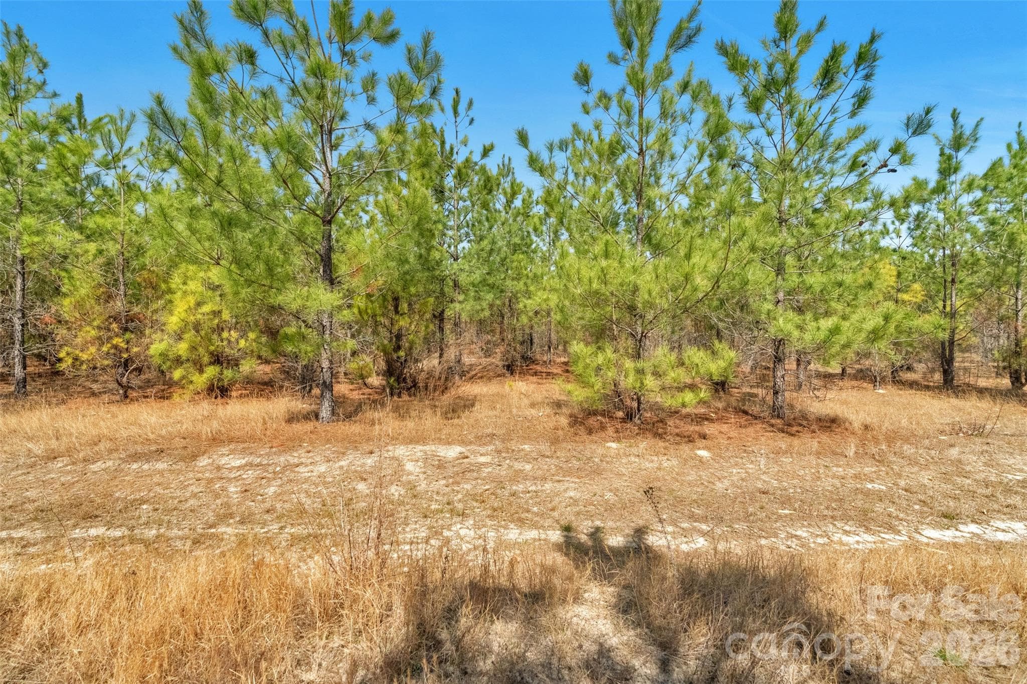 Acreage at 931 Charlie Johnson Road, Kershaw, photo 25 of 35