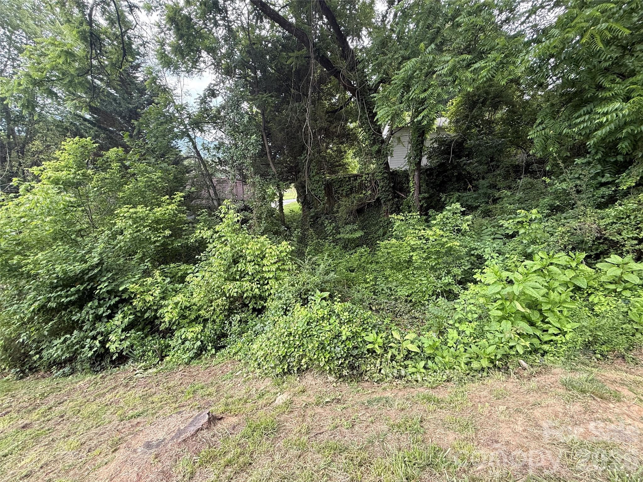 Lot at 31 Paralee Lane, Waynesville, photo 9 of 12