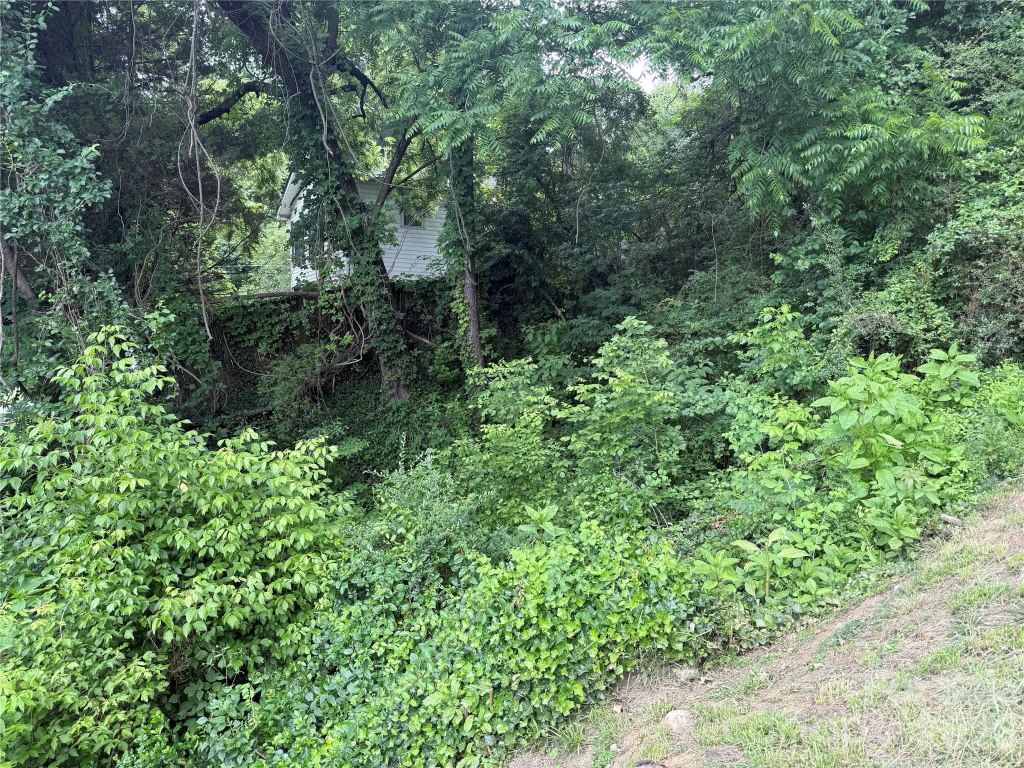 Lot at 31 Paralee Lane, Waynesville, photo 11 of 12