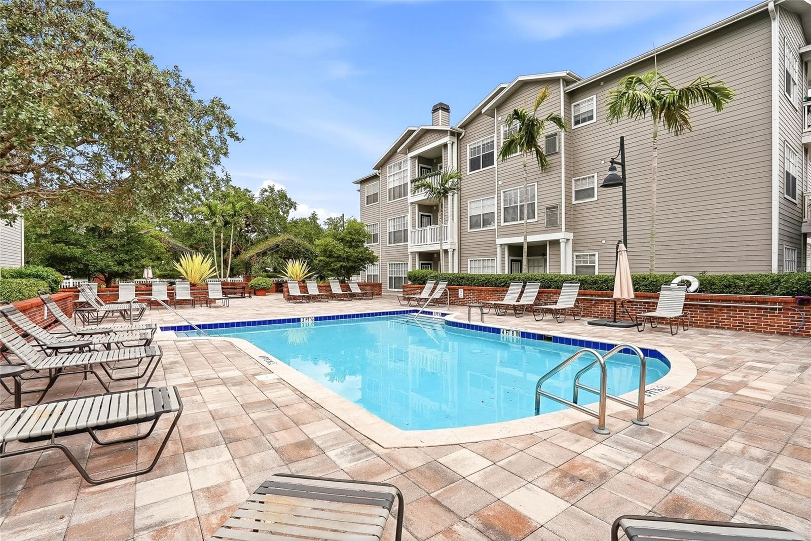 Beautiful Pool and outdoor loungers - 809 S OREGON AVE #B, TAMPA