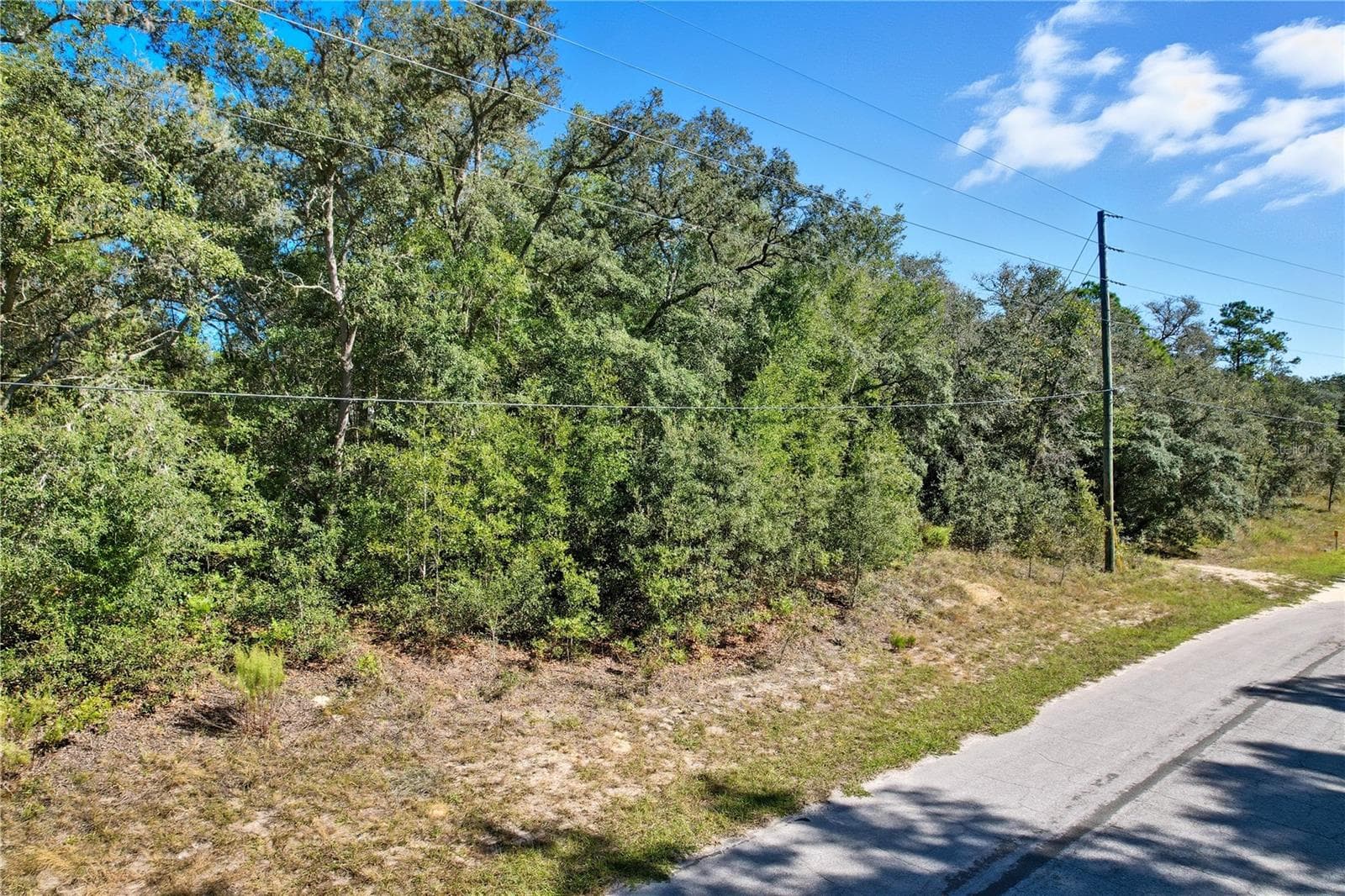 Land at 10562 N ADLER DR, CITRUS SPRINGS, photo 4 of 15