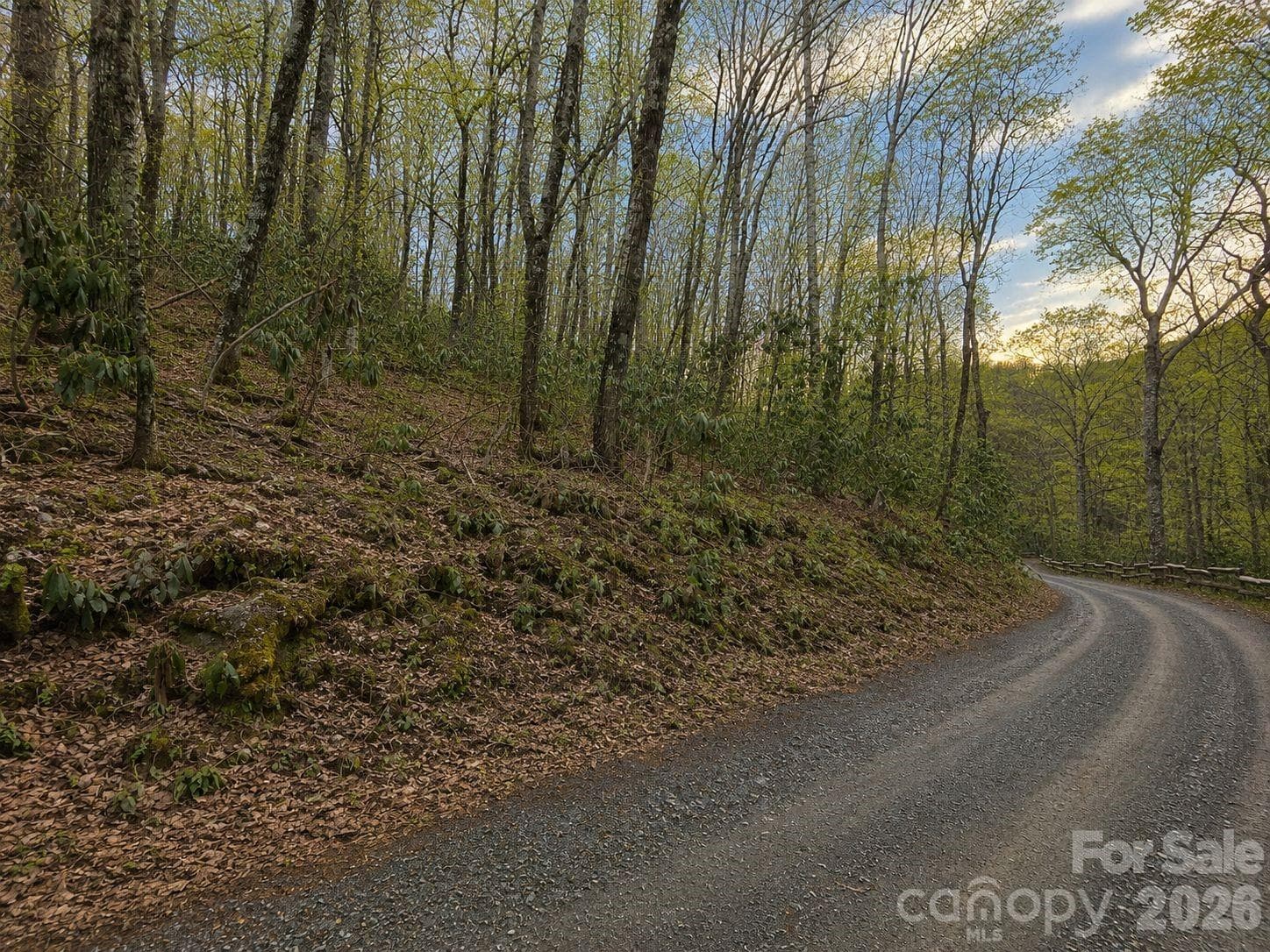 Lot at Maggie Valley, photo 4 of 27