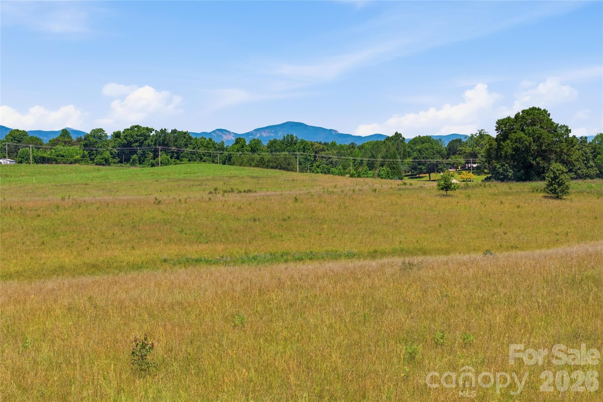 Acreage at Mill Spring, photo 26 of 31