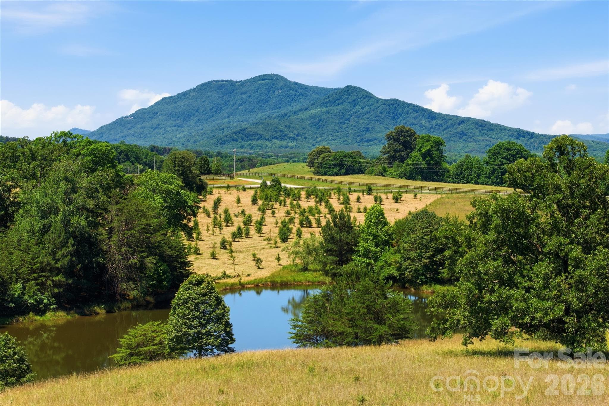 Acreage at Mill Spring, photo 29 of 31