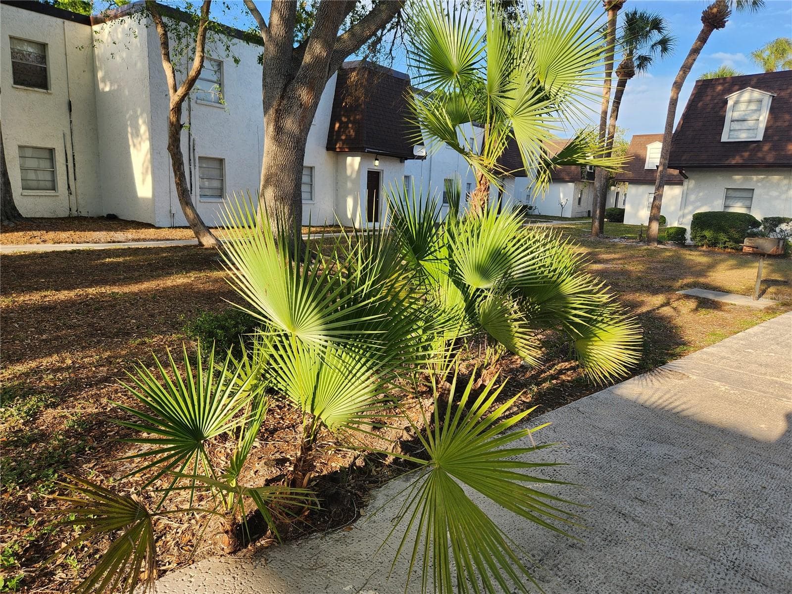 Landscape - 9101 W HILLSBOROUGH AVE #I209, TAMPA