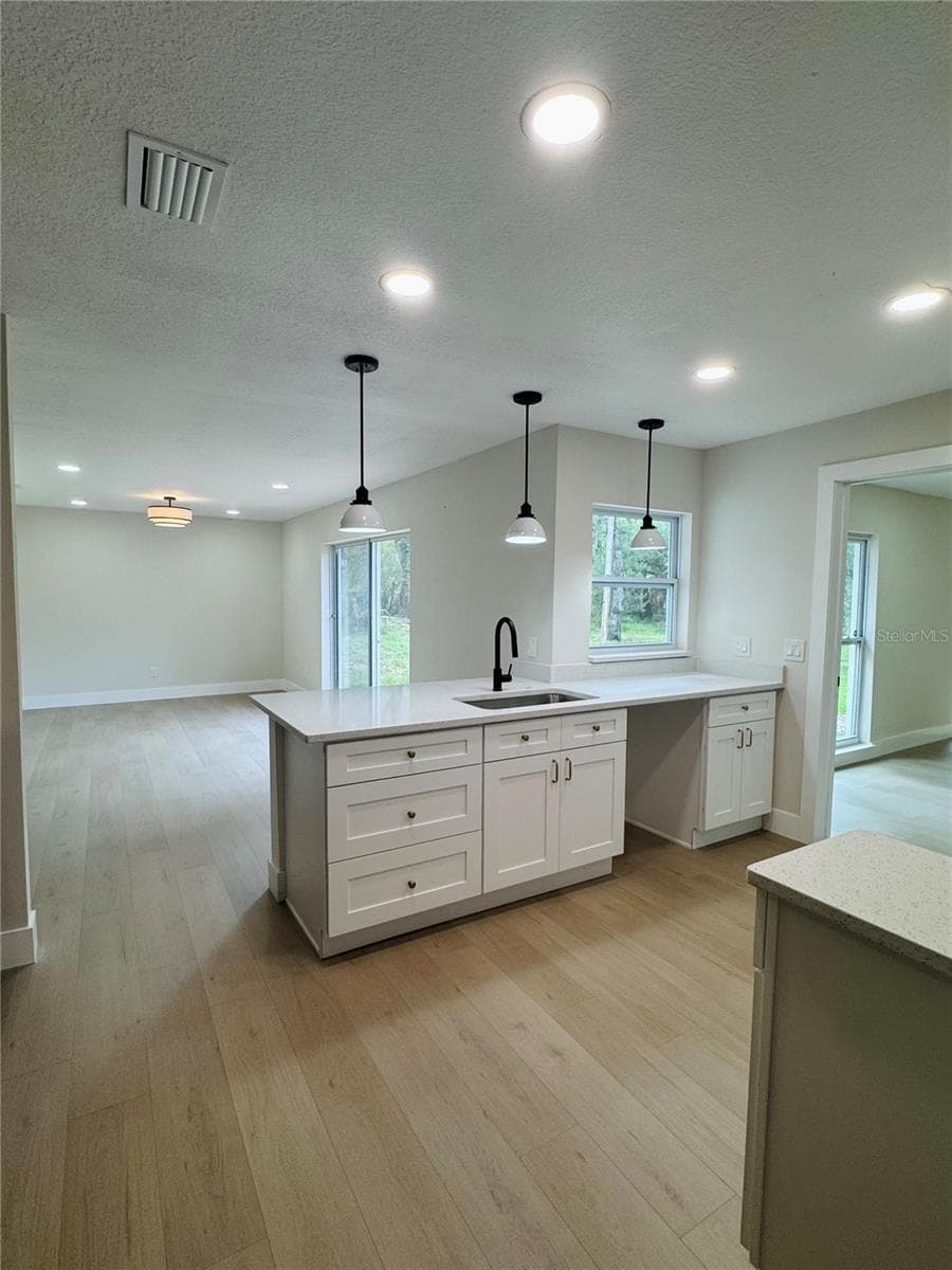 Kitchen - 4405 COCONUT COVE PL, VALRICO
