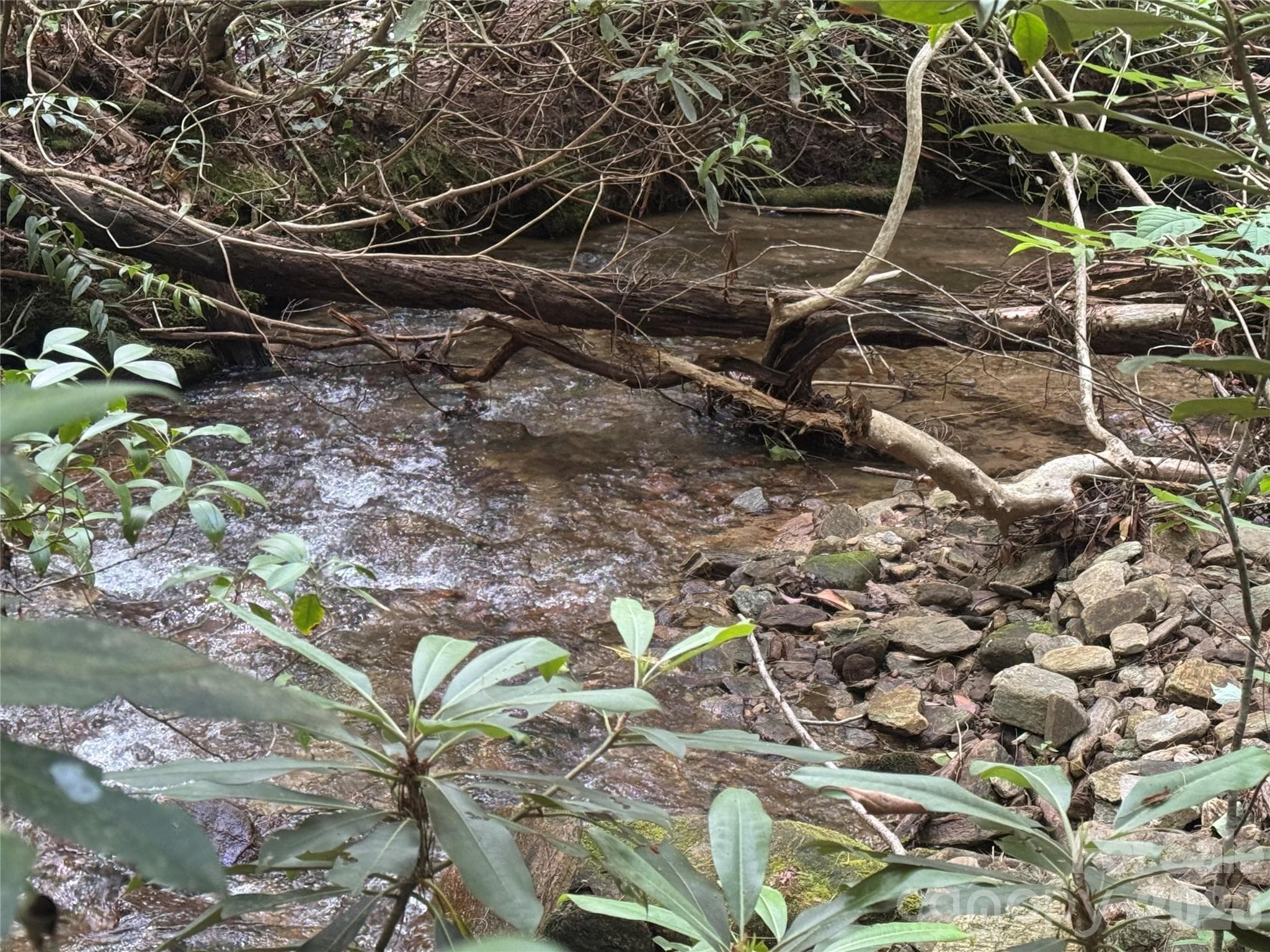 ever-present sound of the running stream of water. - Lot 45 Abby Falls Drive, Rosman