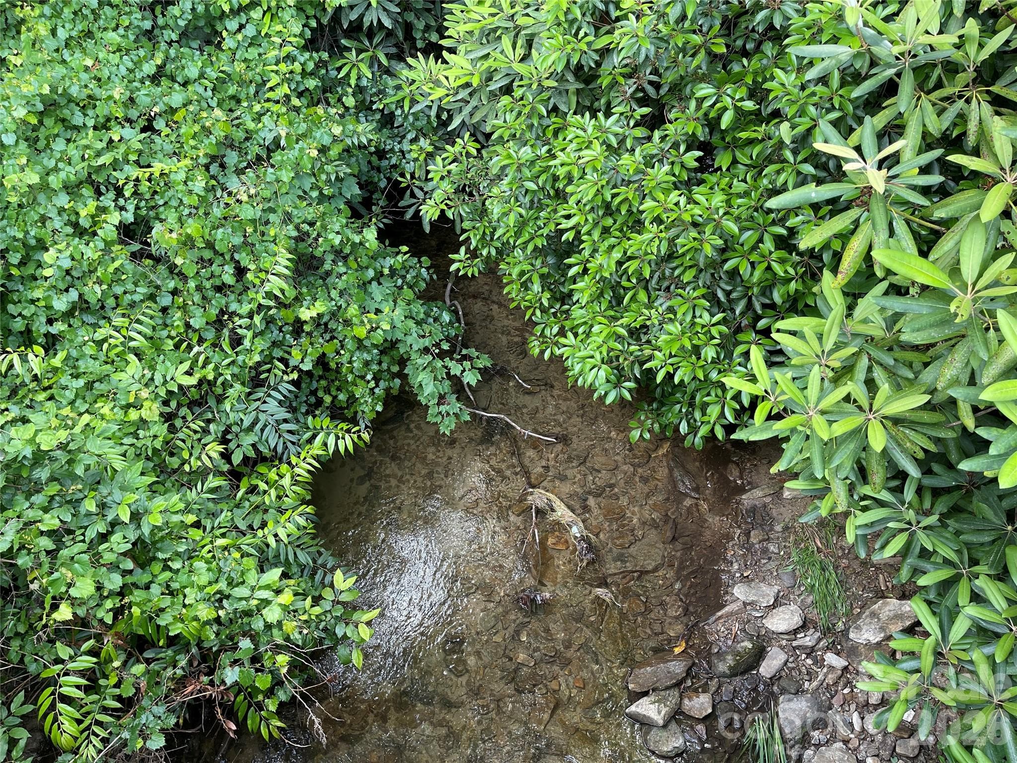 cross the stream to head south on - Lot 45 Abby Falls Drive, Rosman