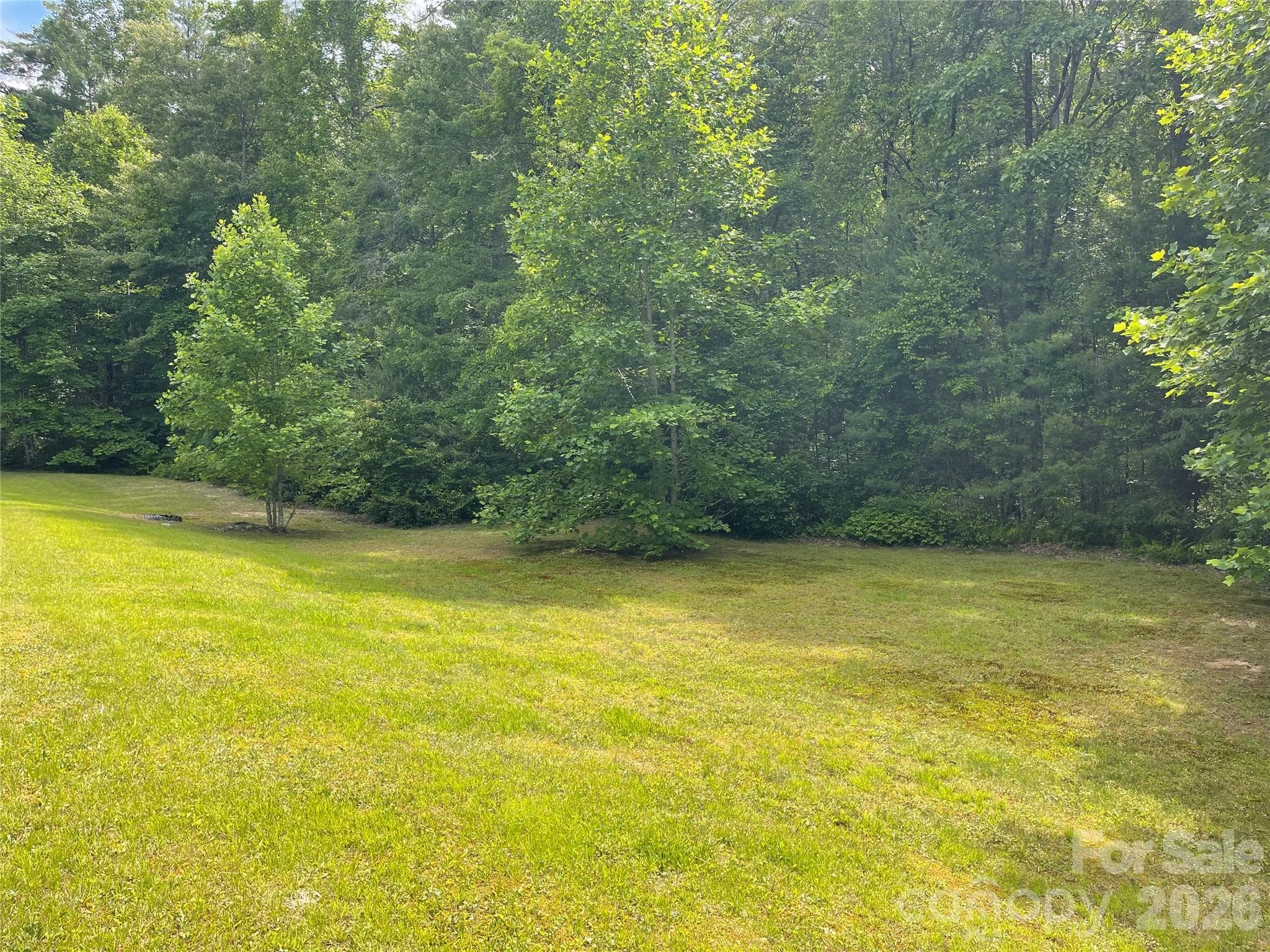 Peppervine, noting the large common area - Lot 45 Abby Falls Drive, Rosman