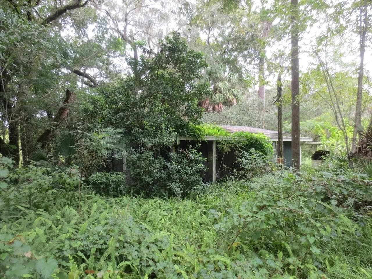 Land at 16865 SE 3RD PL, SILVER SPRINGS, photo 5 of 34