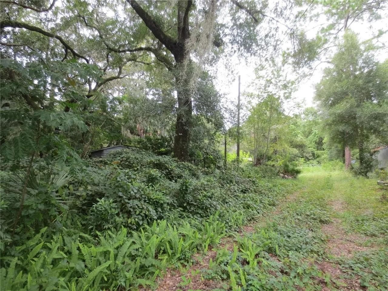 Land at 16865 SE 3RD PL, SILVER SPRINGS, photo 7 of 34