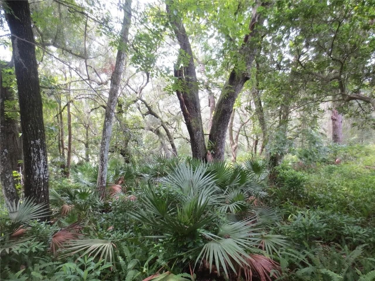Land at 16865 SE 3RD PL, SILVER SPRINGS, photo 12 of 34