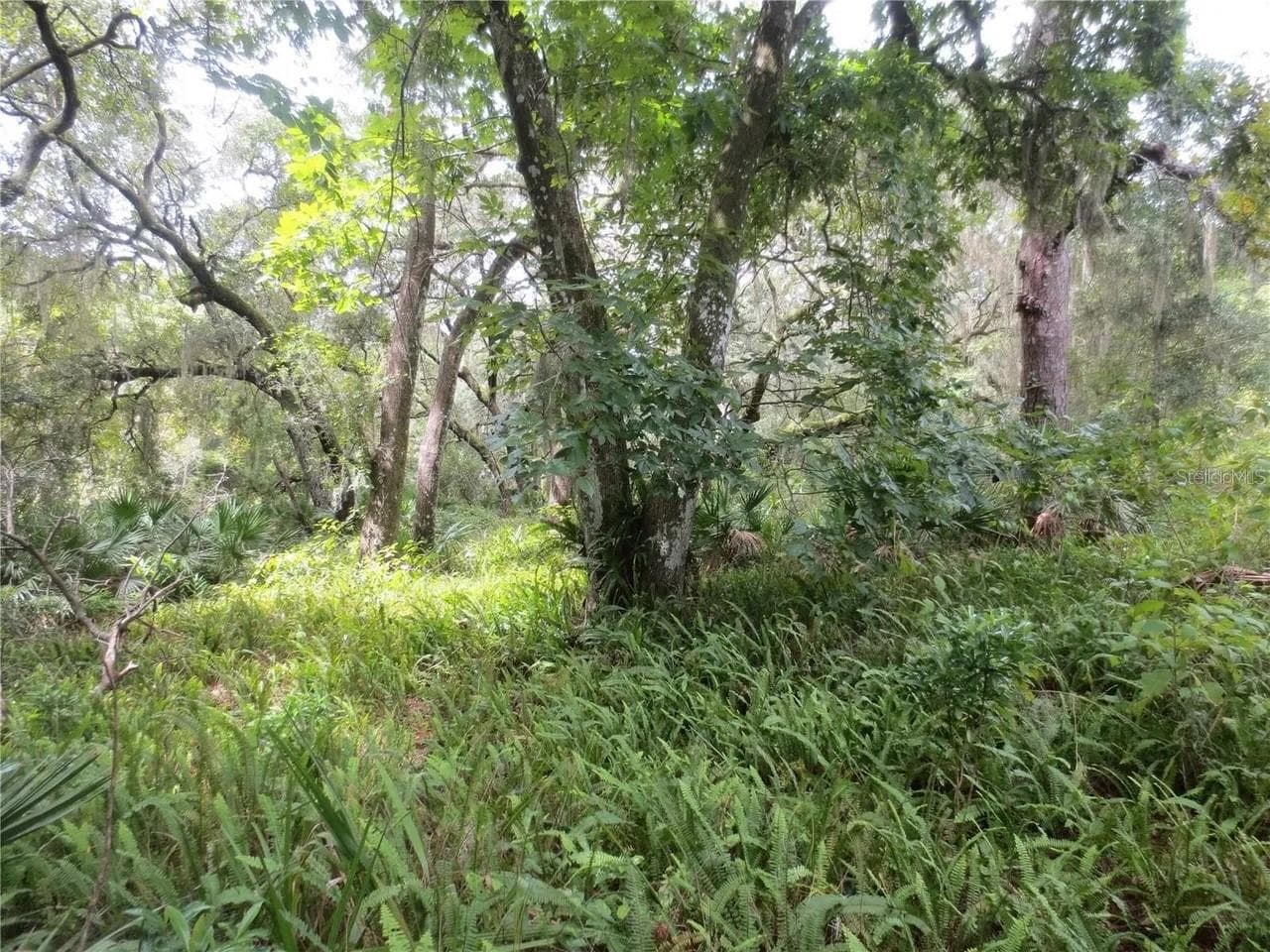 Land at 16865 SE 3RD PL, SILVER SPRINGS, photo 13 of 34